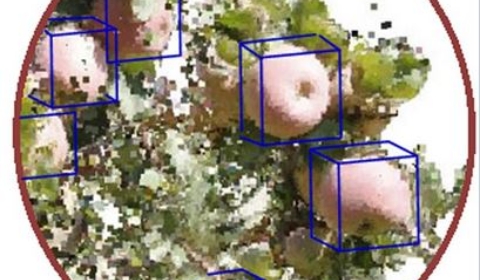 Photg1